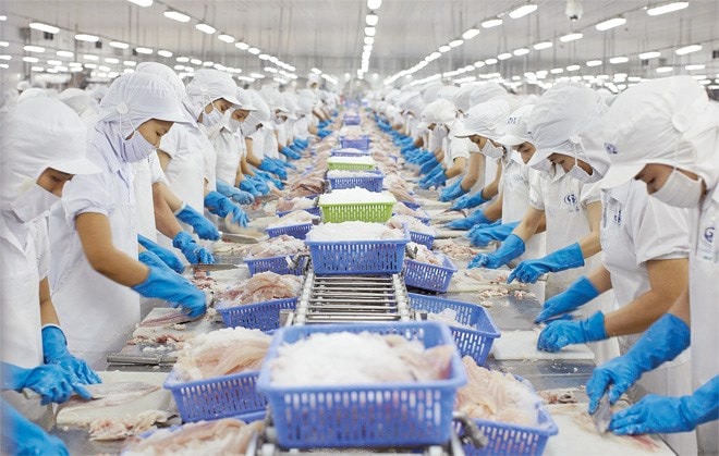 Thủy sản Việt hưởng lợi thế nào từ Thuế đối ứng mới của Mỹ?