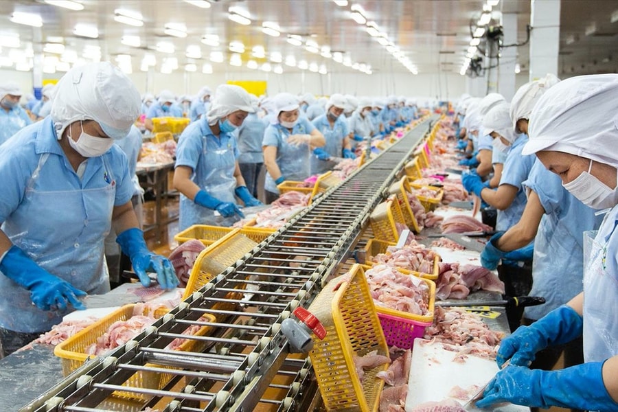 Thủy sản xuất khẩu gặp áp lực lớn từ thị trường Mỹ, thị trường Trung Quốc dẫn dắt đà tăng