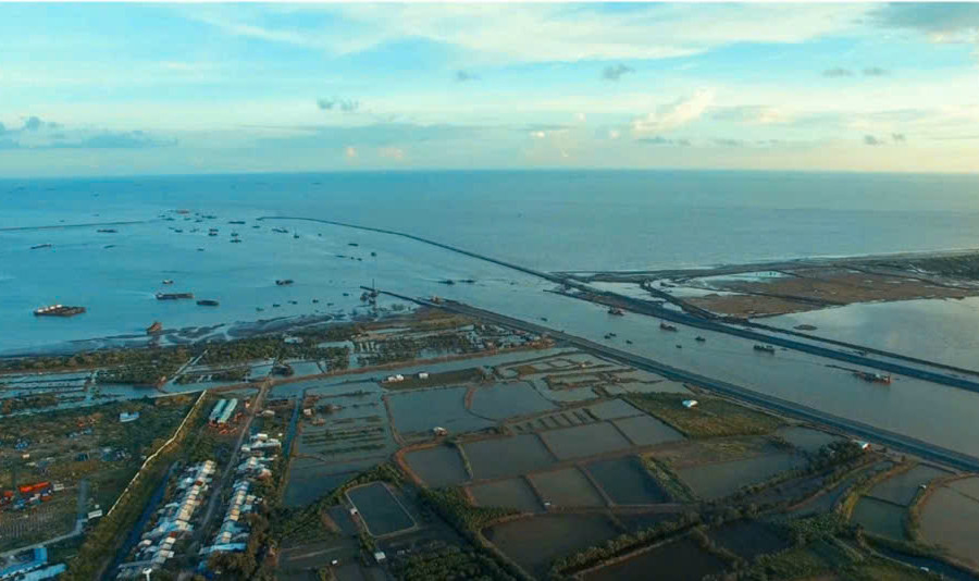 Giải pháp khoa học phục hồi rừng ngập mặn biển Tây