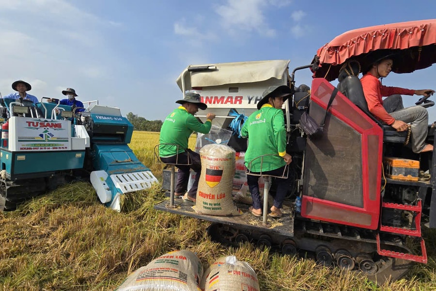 Trình diễn công nghệ nông nghiệp thúc đẩy chuỗi giá trị một triệu ha lúa chất lượng cao