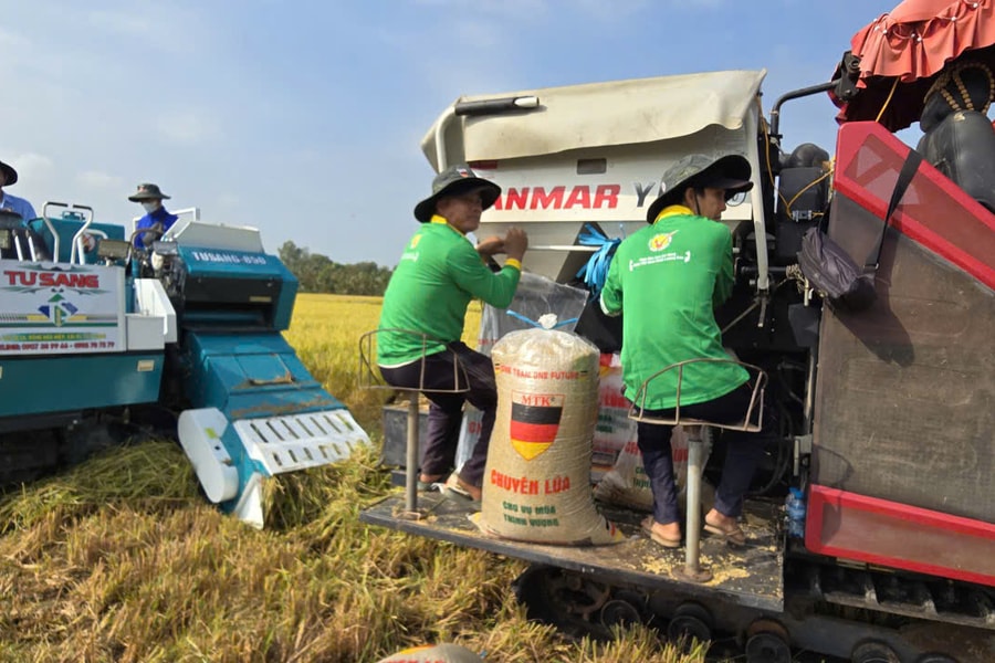 Giá xăng dầu tăng 'phi mã', lợi nhuận nông dân ĐBSCL bị bào mòn