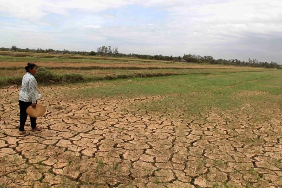 Siêu El Nino 2026: Khi trái đất 'phát sốt', Việt Nam ứng phó thế nào?