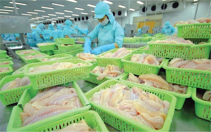 Thủy sản Việt Nam xuất khẩu nhờ đâu mang về hàng chục tỉ USD và duy trì Top 3 toàn cầu?