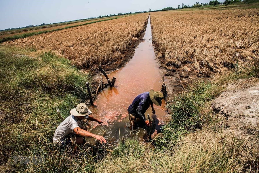 ĐBSCL trước hạn mặn tháng 4: Thủy triều rút, mặn vẫn 'chực chờ' gõ cửa