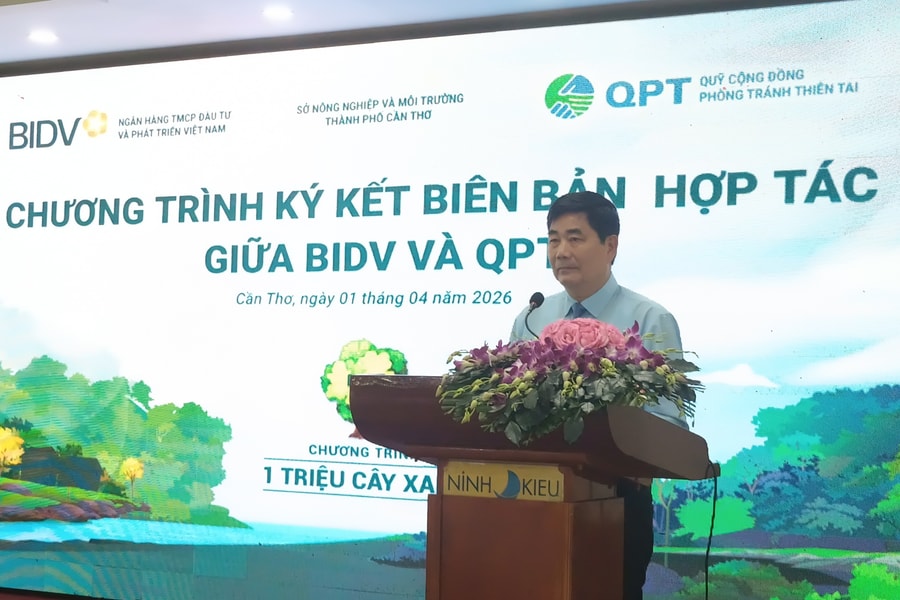 Ông Cao Đức Phát: 'Rừng ngập mặn là lá chắn xanh, bảo vệ bờ biển, đảm bảo sinh kế bền vững'