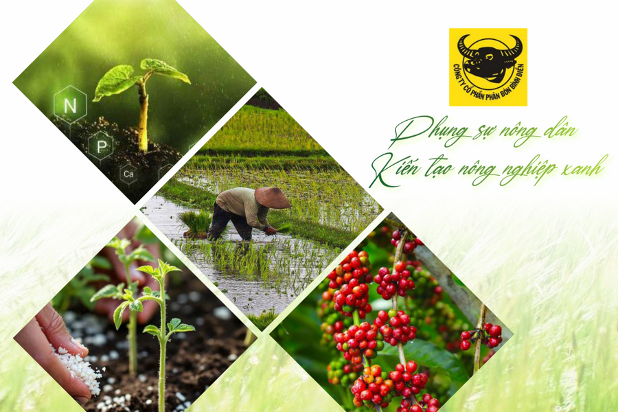 Điều gì đang xảy ra tại Phân bón Bình Điền?