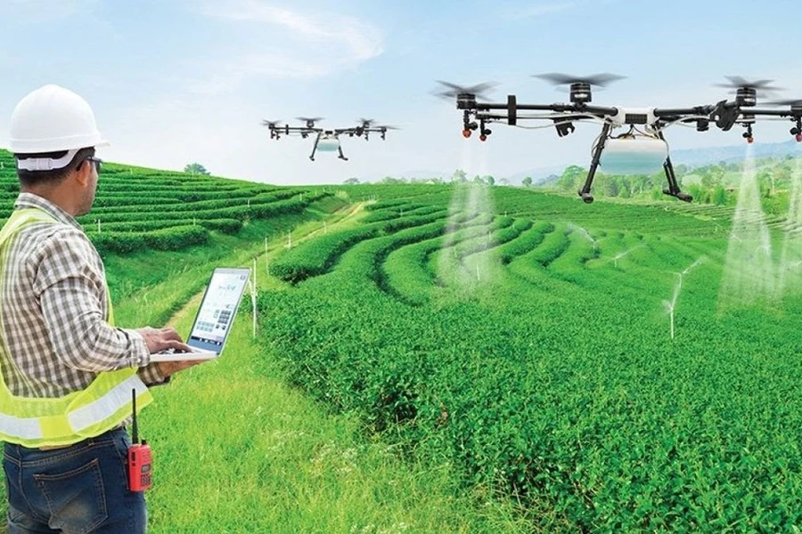 Từ giảng đường đến cánh đồng: Khoảng cách nghìn tỉ của khoa học nông nghiệp Việt