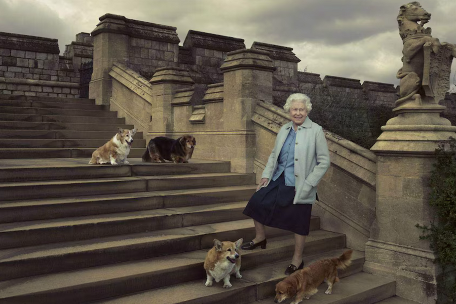Chuyện về Nữ hoàng Elizabeth II và những chú chó corgi trong suốt cuộc đời