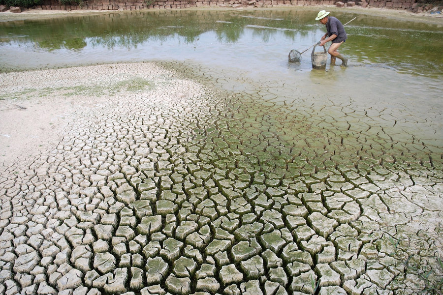 El Nino 'thức tỉnh': Từ mưa lớn bất thường đến hạn hán cục bộ