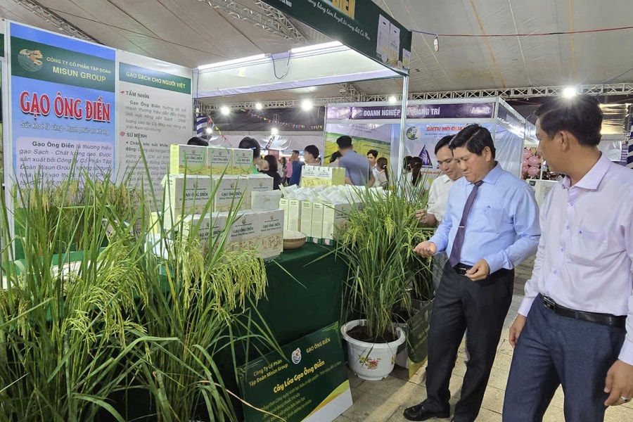 Cà Mau phát triển thương hiệu gạo chất lượng cao gắn truy xuất nguồn gốc