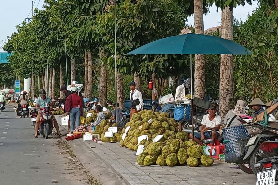 Cadimi là gì, khiến sầu riêng miền Tây rớt giá thảm?