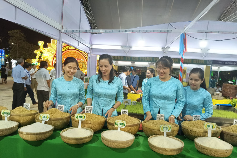 Từng bước xây dựng thương hiệu 'Gạo Việt Xanh phát thải thấp'