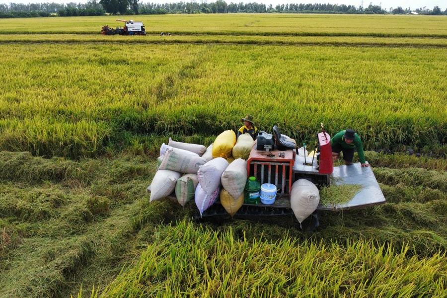 ĐBSCL trước bài toán giảm phát thải khí nhà kính
