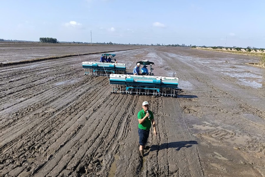 Vùng lúa xanh 1 triệu ha định hình tương lai nông nghiệp ĐBSCL