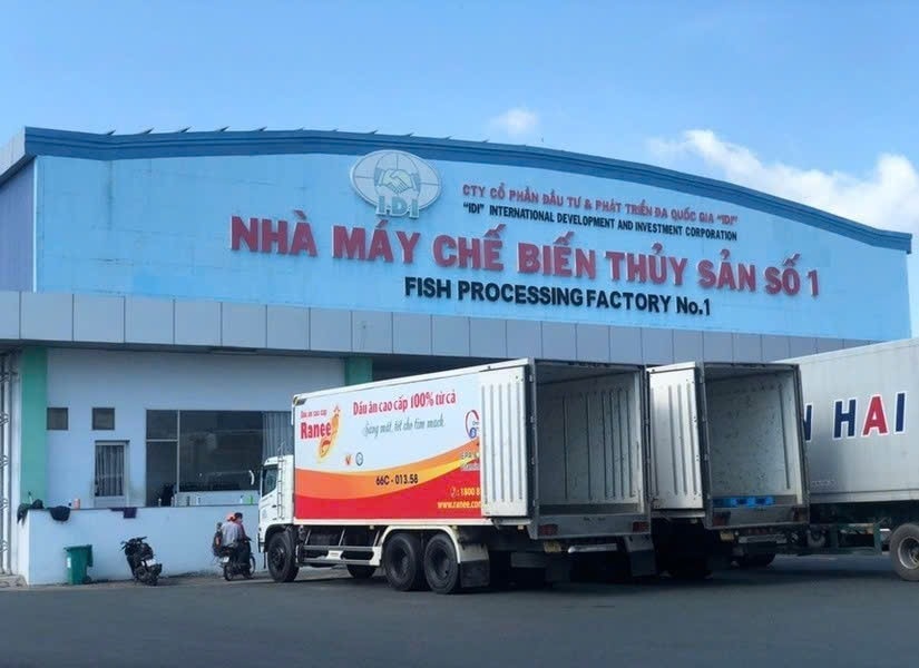 Chuyển đổi số mở rộng triển vọng xuất khẩu cá tra Việt Nam