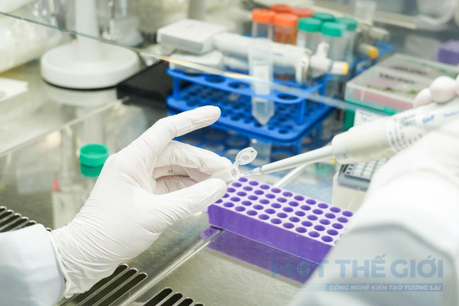 Lương Tổng công trình sư 300 triệu - cao hay thấp?
