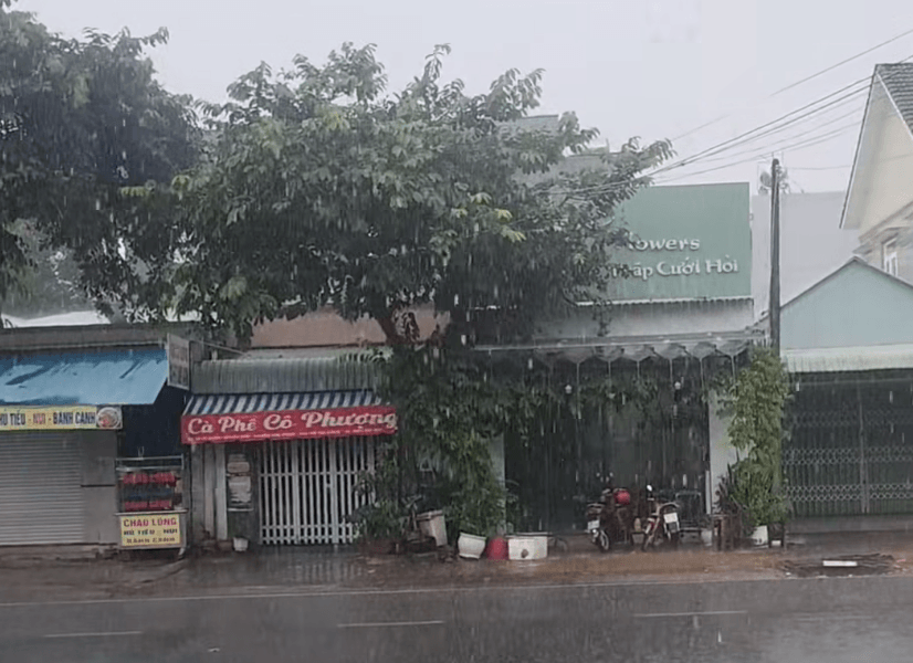 Thời tiết hôm nay 11/7: Hà Nội mưa dông diện rộng