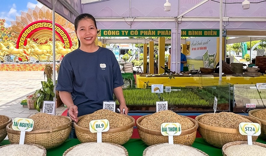 Cà Mau: Ba trụ cột để hạt gạo 'xanh' vươn xa