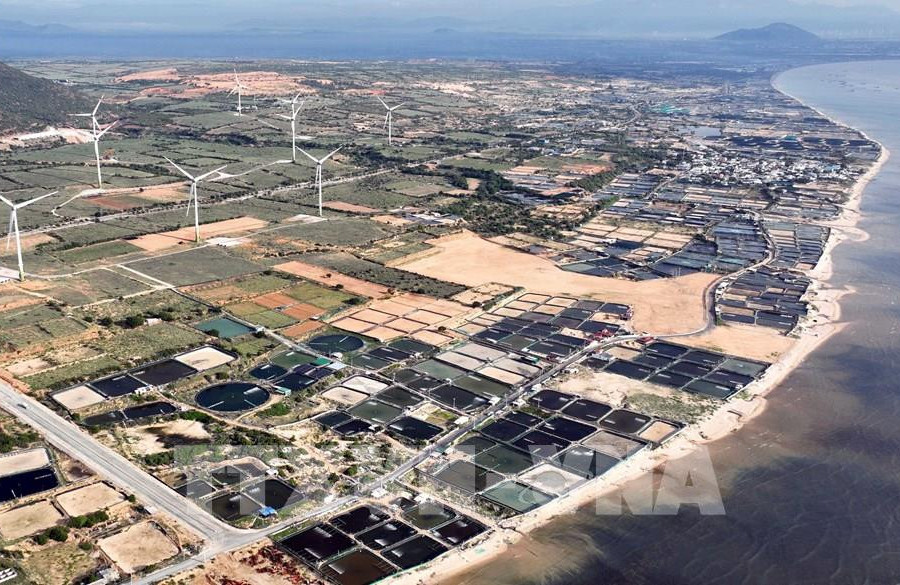 Cần bao nhiêu nhân lực cho dự án Điện hạt nhân Ninh Thuận?