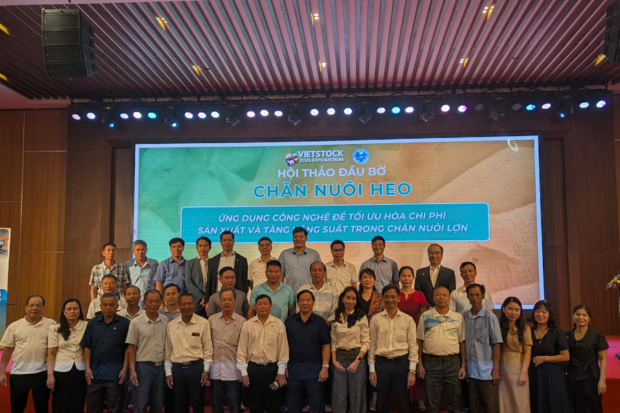 Đưa AI vào... chuồng lợn: Công nghệ đã thay đổi ngành chăn nuôi như thế nào?