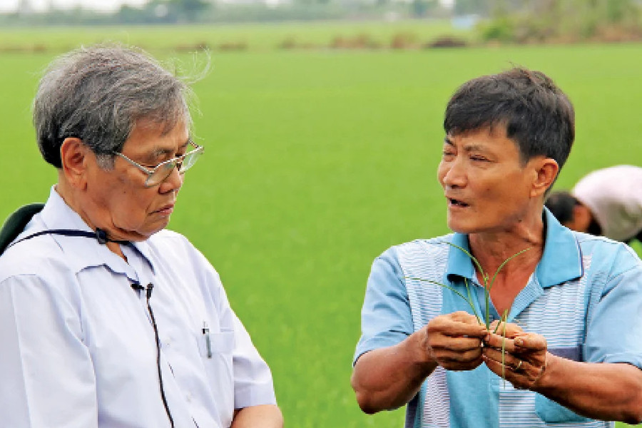 Nhà khoa học 90 tuổi với hơn 60 năm tìm lời giải cho cây lúa Việt