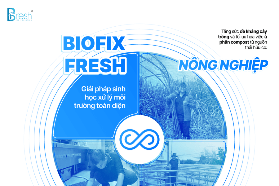BioFix Fresh: Một thập kỷ xây dựng thương hiệu