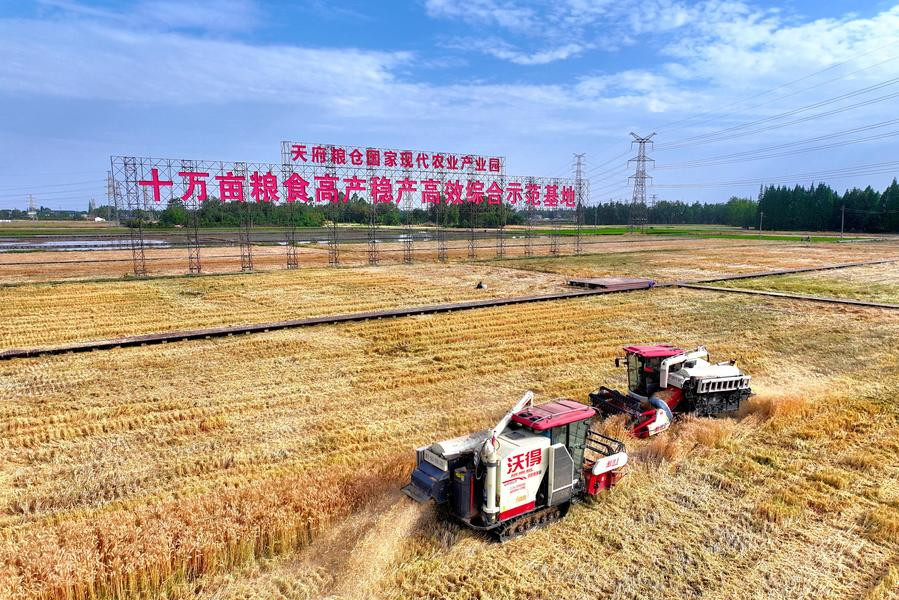 AI có thắng nông dân ở “trận đấu” cấy trên 66,7ha lúa ở Tứ Xuyên, Trung Quốc?