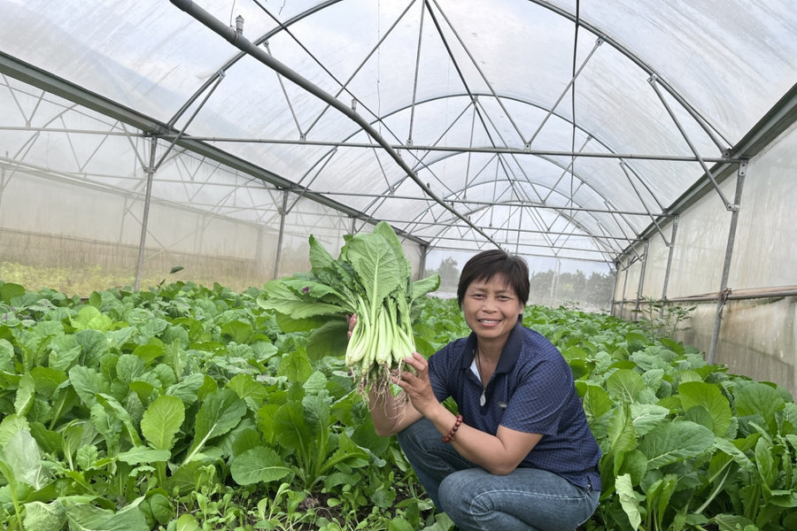 Đất không thể nở thêm, nông nghiệp phải thông minh hơn (Bài 1)