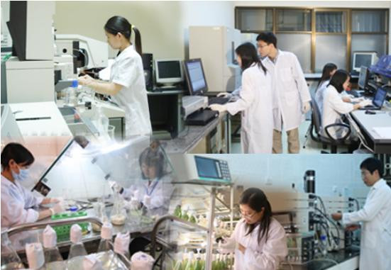 Quy định mới về chuyển đổi vị trí công tác lĩnh vực KH&CN tại địa phương