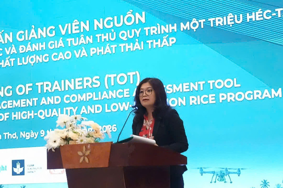 Cần Thơ đào tạo nguồn nhân lực lúa chất lượng cao phát thải thấp