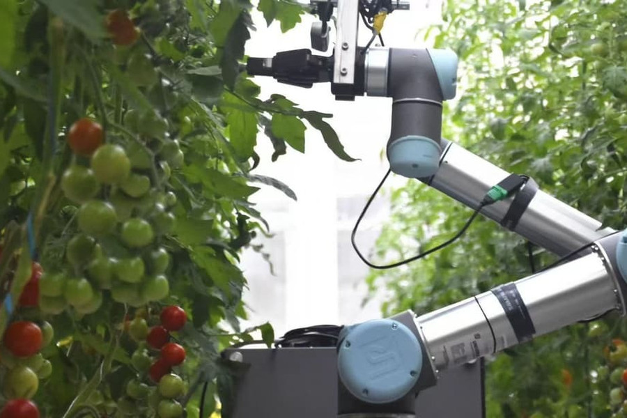 Robot hình người tự thụ phấn cho cây, mở hướng mới cho AI trong nông nghiệp