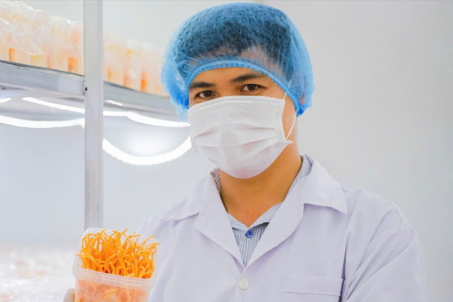 Mang 'phòng lab' về quê, thạc sĩ 9X tự động hóa 80% trang trại nấm đông trùng hạ thảo